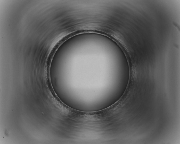 X0000103910976200809191258