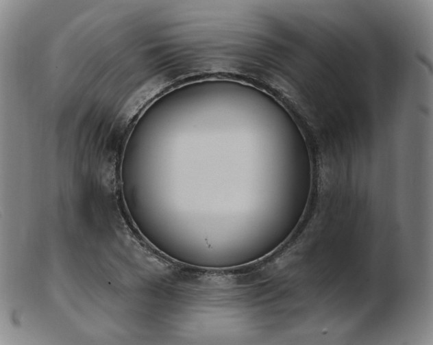 X0000103910977200809191258