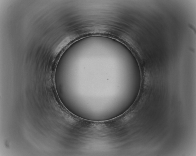 X0000103910978200809191258