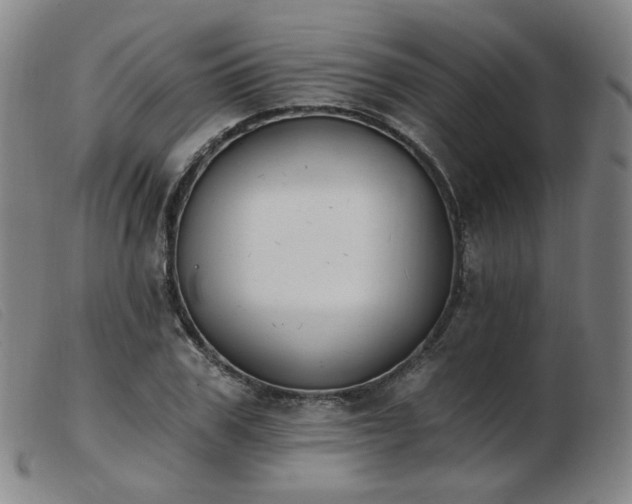 X0000103910979200809191258