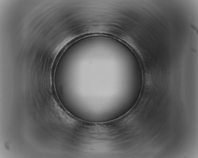 X0000103910980200809191258