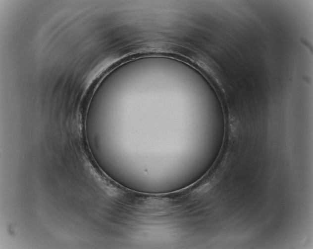 X0000103910981200809191258