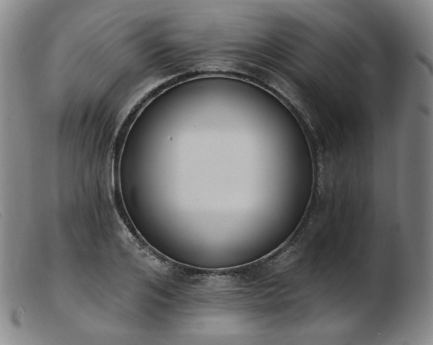 X0000103910984200809191258