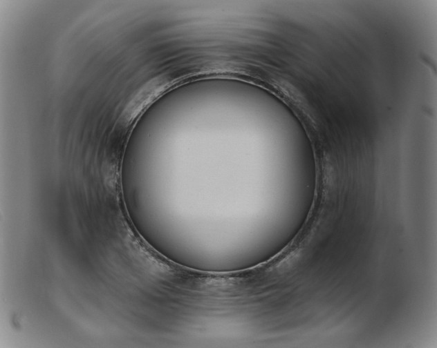 X0000103910985200809191258