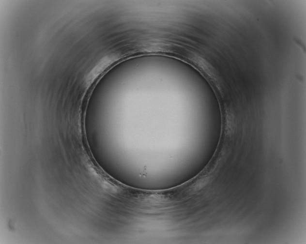 X0000103910986200809191258