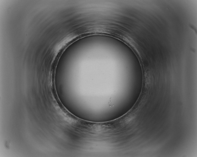 X0000103910987200809191258