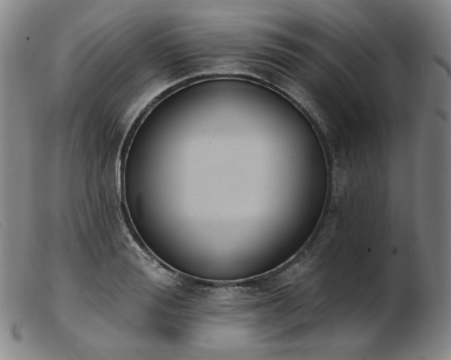 X0000103910988200809191258