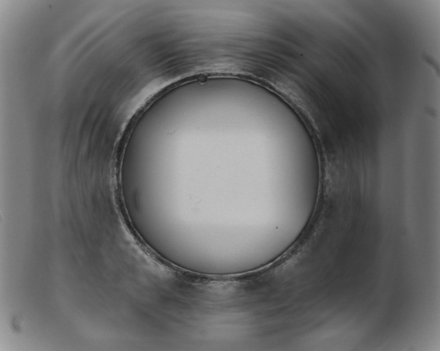X0000103910989200809191258