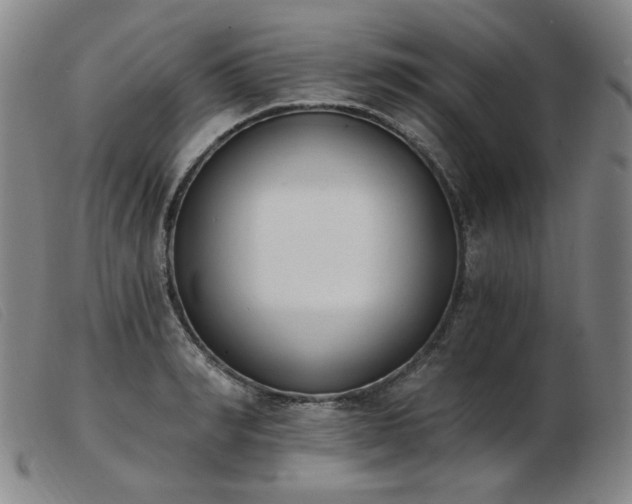 X0000103910990200809191258