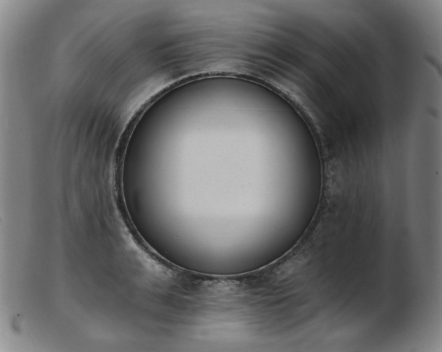 X0000103910991200809191258