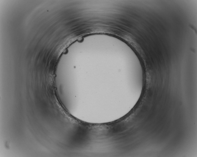 X0000103910993200809191258