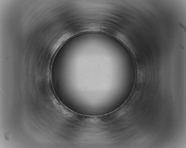 X0000103910994200809191258