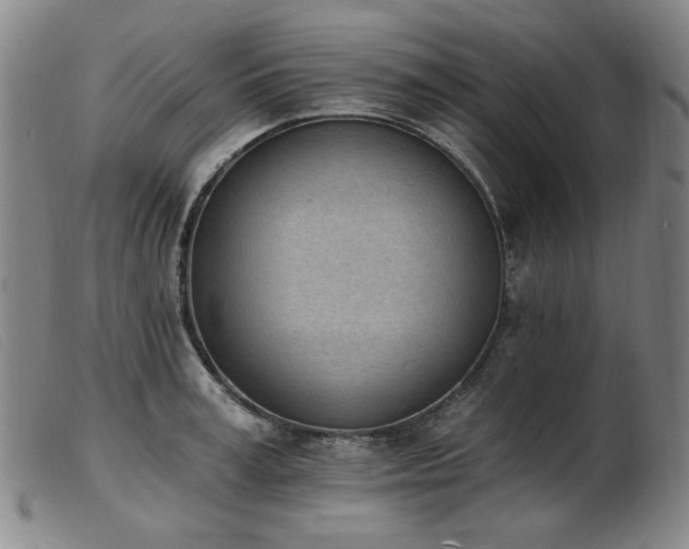X0000103910995200809191258