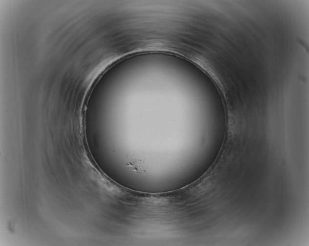 X0000103910996200809191258