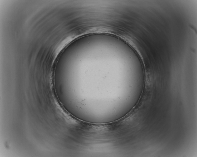 X0000103910997200809191258
