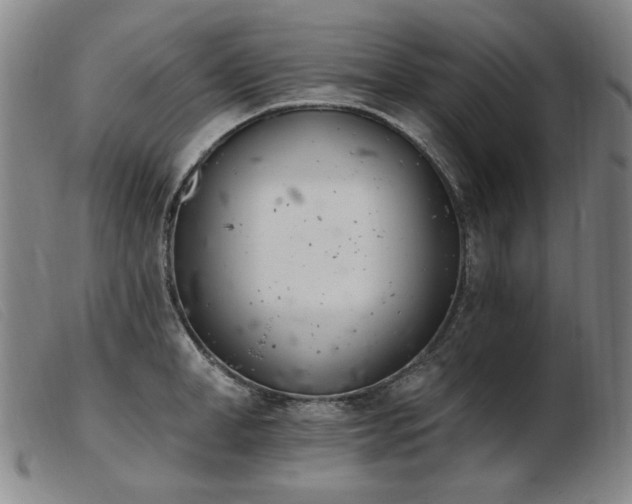 X0000103910998200809191258