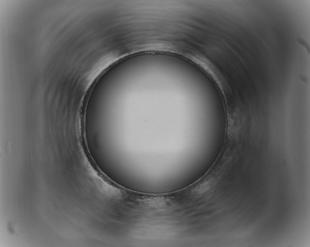 X0000103910999200809191258