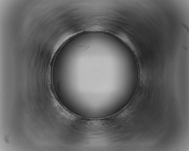 X0000103911000200809191258