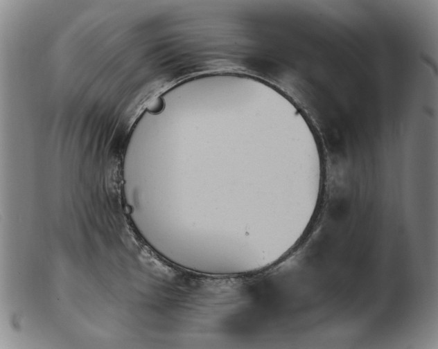 X0000103911001200809191258