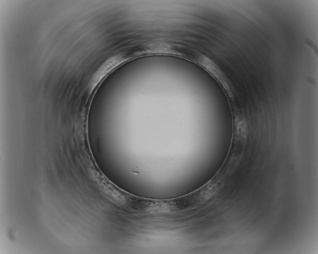 X0000103911002200809191258