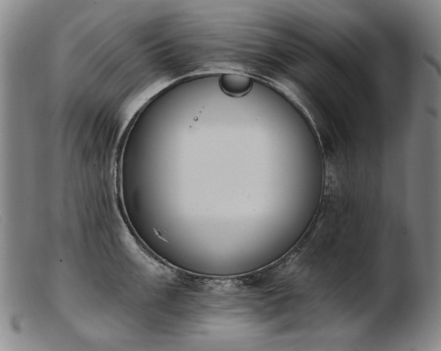 X0000103911003200809191258