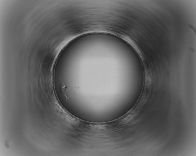 X0000103911004200809191258