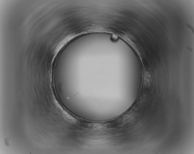 X0000103911005200809191258
