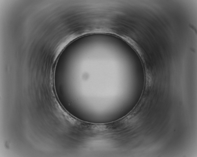 X0000103911006200809191258