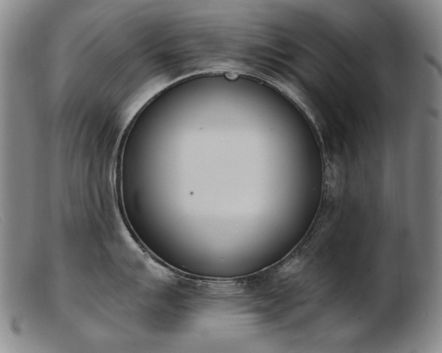 X0000103911007200809191258