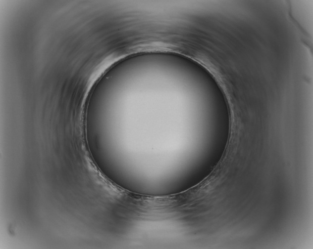 X0000103911008200809191258