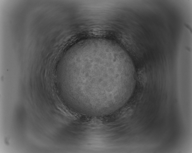 X0000103911009200809191257
