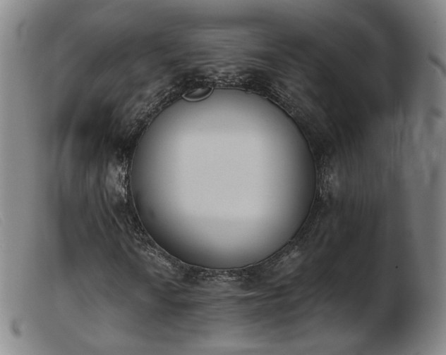 X0000103911010200809191257