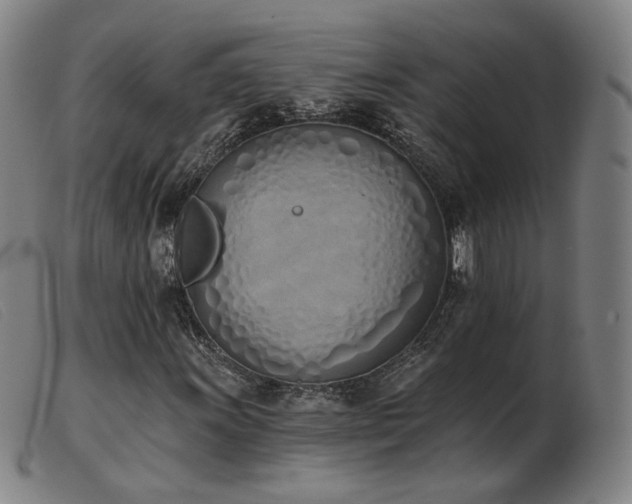 X0000103911011200809191257