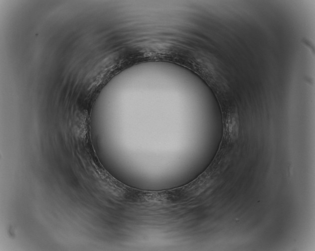 X0000103911012200809191257