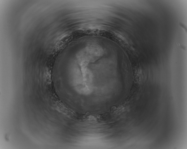 X0000103911013200809191257