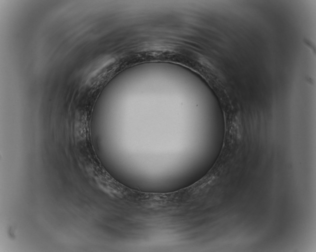 X0000103911014200809191257