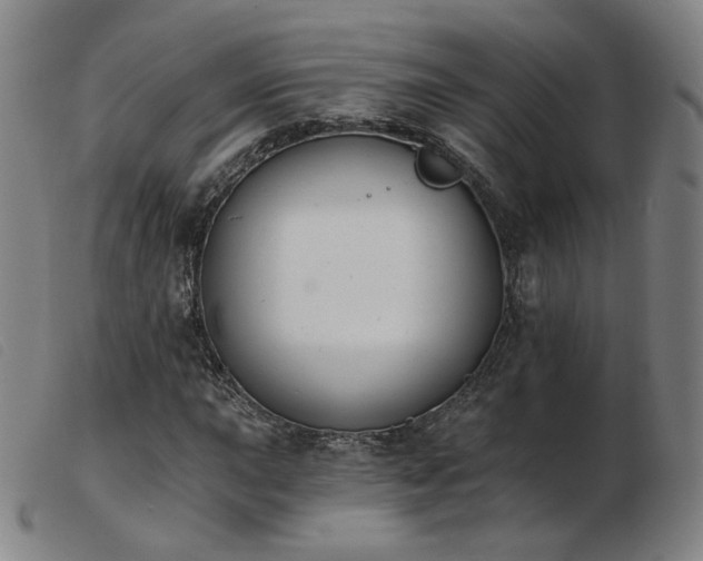 X0000103911015200809191257