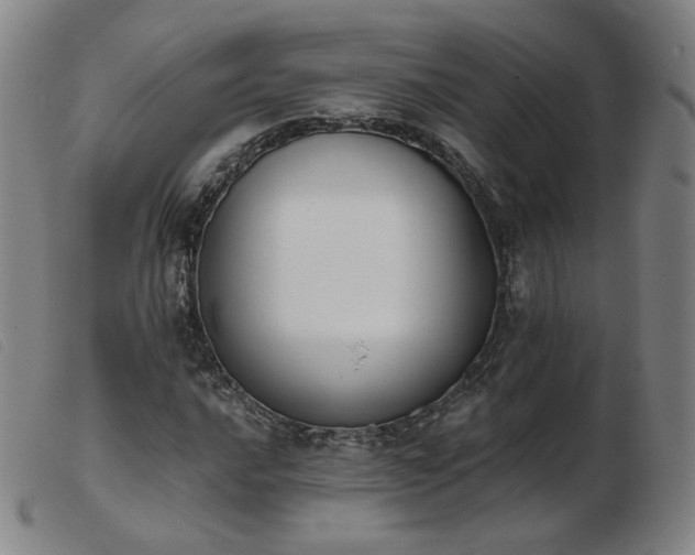 X0000103911016200809191257