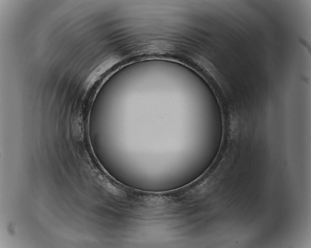 X0000103911018200809191257