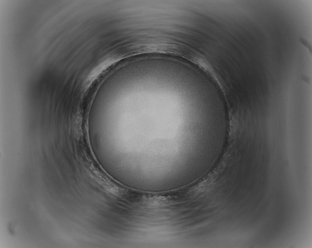 X0000103911019200809191257