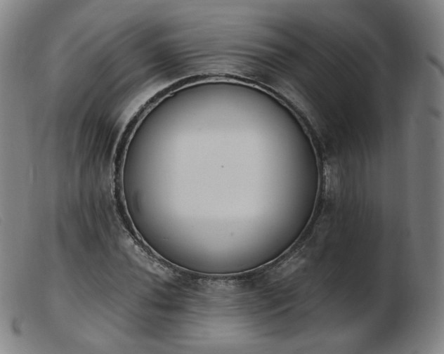 X0000103911020200809191257