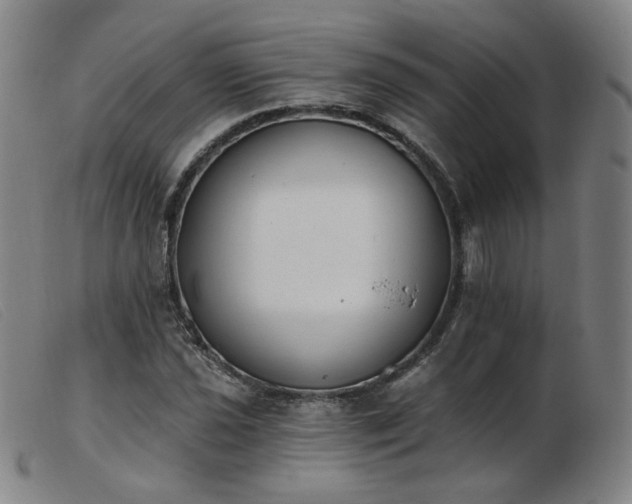 X0000103911021200809191257