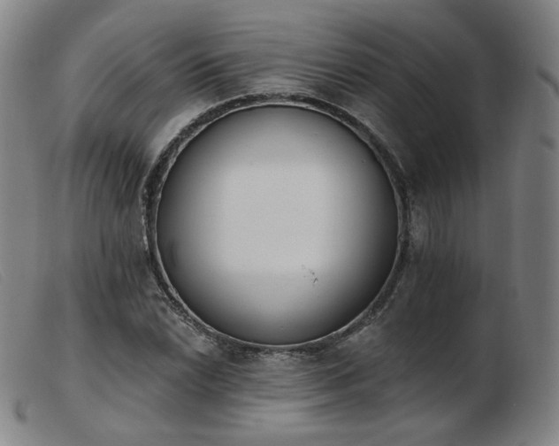 X0000103911022200809191257