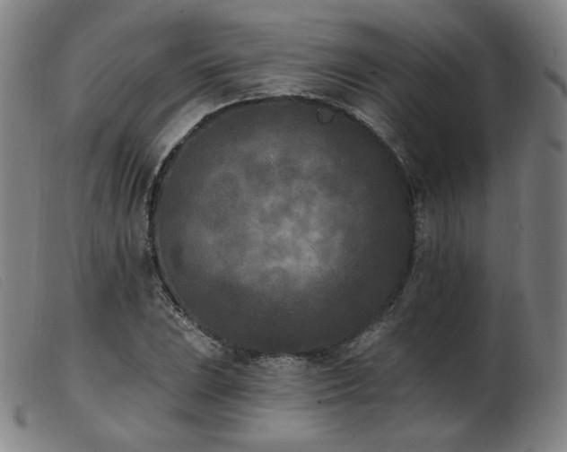 X0000103911023200809191257
