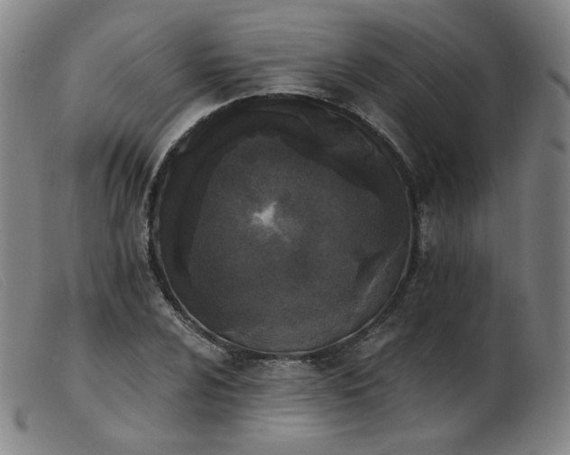 X0000103911024200809191257