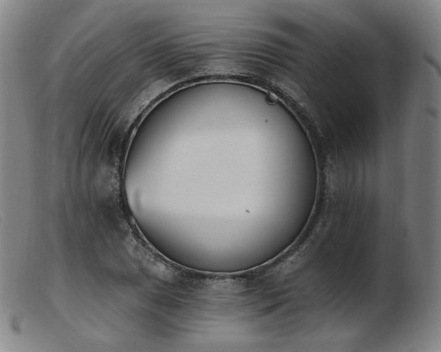 X0000103911025200809191257