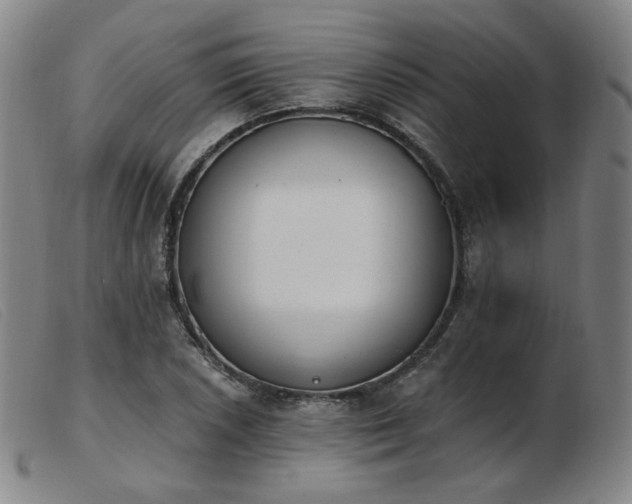 X0000103911026200809191257