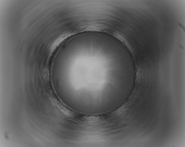 X0000103911027200809191257