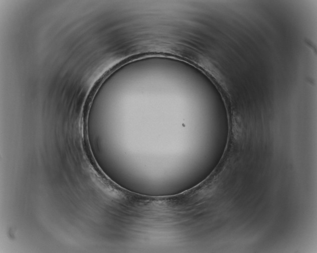 X0000103911028200809191257