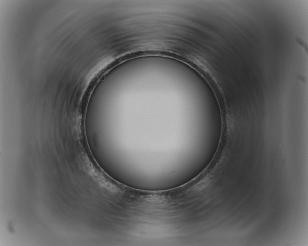 X0000103911029200809191257